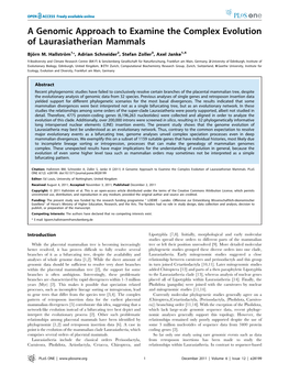 A Genomic Approach to Examine the Complex Evolution of Laurasiatherian Mammals