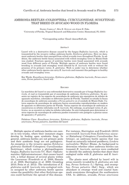Ambrosia Beetles (Coleoptera: Curculionidae: Scolytinae) That Breed in Avocado Wood in Florida