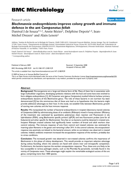 Blochmannia Endosymbionts Improve Colony Growth and Immune Defence