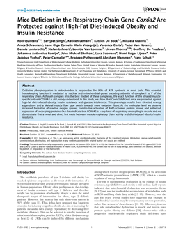 Mice Deficient in the Respiratory Chain Gene Cox6a2 Are Protected Against High-Fat Diet-Induced Obesity and Insulin Resistance