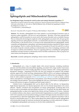 Sphingolipids and Mitochondrial Dynamic