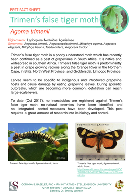 Trimen's False Tiger Moth