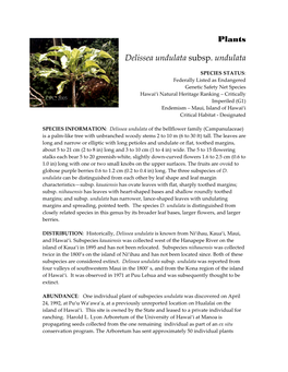 Plants Delissea Undulata Subsp. Undulata