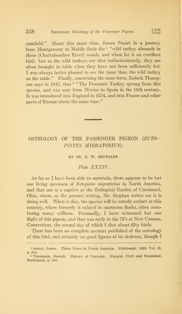 Osteology of the Passenger Pigeon {Ec To- Pis Tes Migratorius)