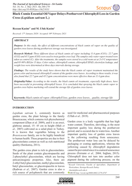 Black Cumin Essential Oil Vapor Delays Postharvest Chlorophyll Loss in Garden Cress (Lepidium Sativum L.)