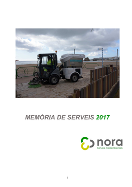 Memòria De Serveis 2017