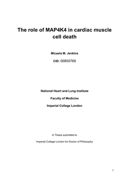 The Role of MAP4K4 in Cardiac Muscle Cell Death