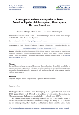 A New Genus and Two New Species of South American Myodochini