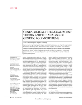 Genealogical Trees, Coalescent Theory and the Analysis of Genetic Polymorphisms