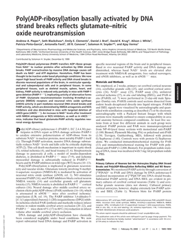 Poly(ADP-Ribosyl)Ation Basally Activated by DNA Strand Breaks Reflects Glutamate–Nitric Oxide Neurotransmission