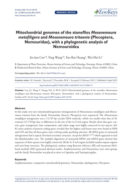 Plecoptera, Nemouridae), with a Phylogenetic Analysis of Nemouroidea