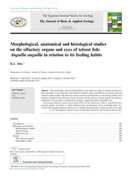 Morphological, Anatomical and Histological Studies on the Olfactory Organs and Eyes of Teleost ﬁsh: Anguilla Anguilla in Relation to Its Feeding Habits