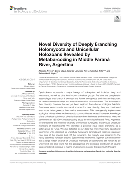 Novel Diversity of Deeply Branching Holomycota and Unicellular Holozoans Revealed by Metabarcoding in Middle Paraná River, Argentina