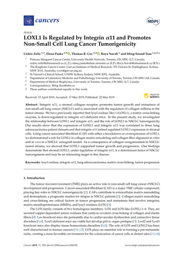 LOXL1 Is Regulated by Integrin 11 and Promotes Non-Small Cell Lung