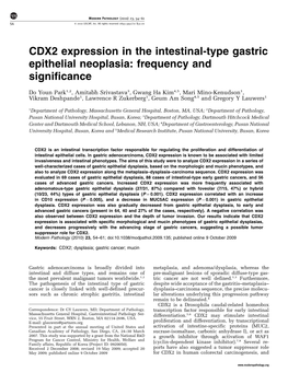 CDX2 Expression in the Intestinal-Type Gastric Epithelial Neoplasia: Frequency and Significance