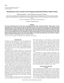 Simultaneous Color Contrast in the Foraging Swallowtail Butterfly, Papilio Xuthus