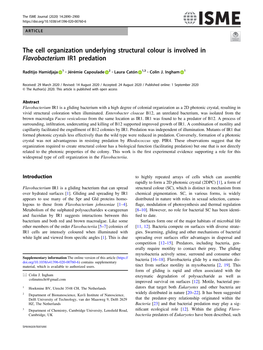 The Cell Organization Underlying Structural Colour Is Involved in Flavobacterium IR1 Predation