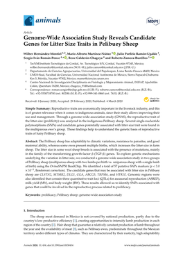 Genome-Wide Association Study Reveals Candidate Genes for Litter Size Traits in Pelibuey Sheep