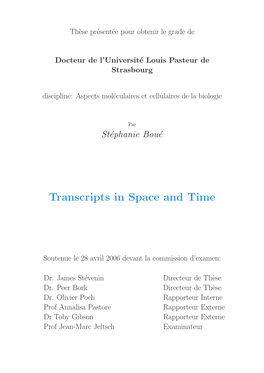 Transcripts in Space and Time