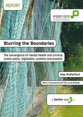 Blurring the Boundaries REPORT