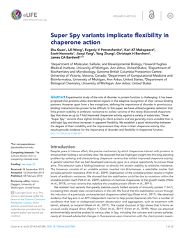 Super Spy Variants Implicate Flexibility in Chaperone Action