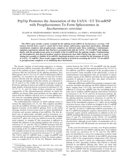 Prp31p Promotes the Association of the U4/U6 U5 Tri-Snrnp