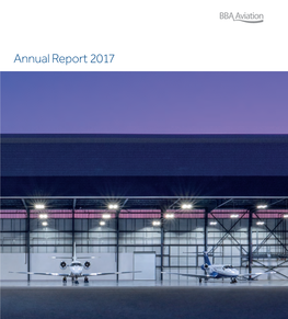 Annual Report 2017 Strategic Report What We Do