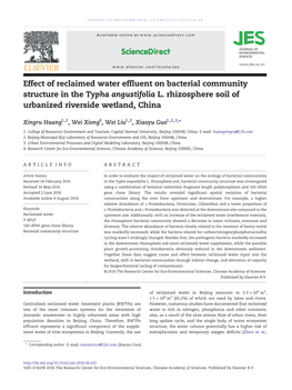 Effect of Reclaimed Water Effluent on Bacterial Community Structure in the Typha Angustifolia L