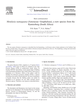 Metalasia Namaquana (Asteraceae–Gnaphalieae), a New Species from the Kamiesberg (South Africa) ⁎ P.O