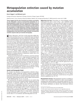 Metapopulation Extinction Caused by Mutation Accumulation