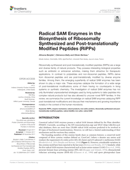 Radical SAM Enzymes in the Biosynthesis of Ribosomally Synthesized and Post-Translationally Modiﬁed Peptides (Ripps)