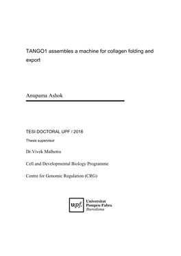 TANGO1 Assembles a Machine for Collagen Folding and Export