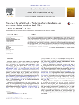 Anatomy of the Leaf and Bark of Warburgia Salutaris (Canellaceae), an Important Medicinal Plant from South Africa