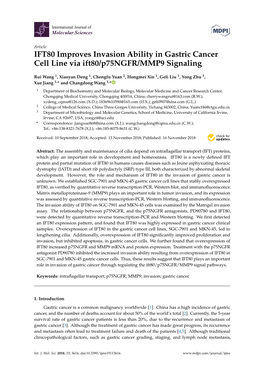 IFT80 Improves Invasion Ability in Gastric Cancer Cell Line Via Ift80/P75ngfr/MMP9 Signaling