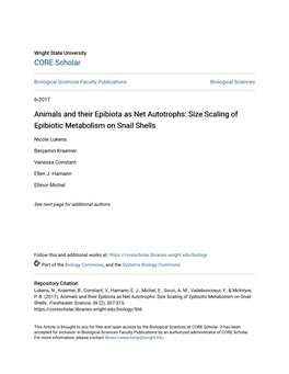 Size Scaling of Epibiotic Metabolism on Snail Shells