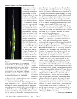 Aegilops Tauschii Genome Aegilops Tauschii Coss