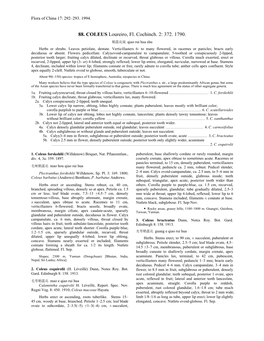 88. COLEUS Loureiro, Fl. Cochinch. 2: 372. 1790. 鞘蕊花属 Qiao Rui Hua Shu Herbs Or Shrubs