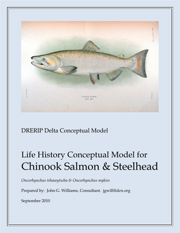 Life History Conceptual Model Chinook Salmon And