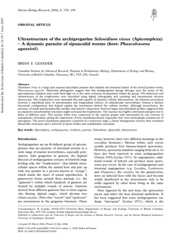 Ultrastructure of the Archigregarine Selenidium Vivax