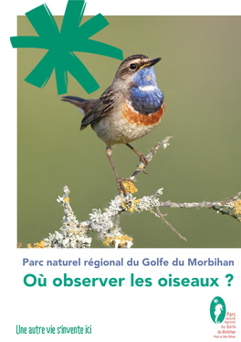Parc Naturel Régional Du Golfe Du Morbihan Où Observer Les Oiseaux ? Les Principaux Sites D’Observation Des Oiseaux