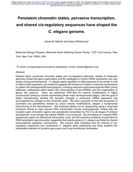 Persistent Chromatin States, Pervasive Transcription, and Shared Cis-Regulatory Sequences Have Shaped the C