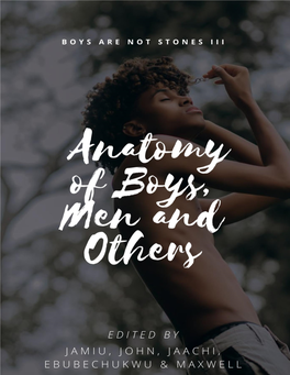 Anatomy of Boys, Men and Others