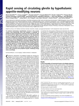 Rapid Sensing of Circulating Ghrelin by Hypothalamic Appetite-Modifying Neurons