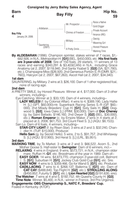 Bay Filly Barn 4 Hip No. 59