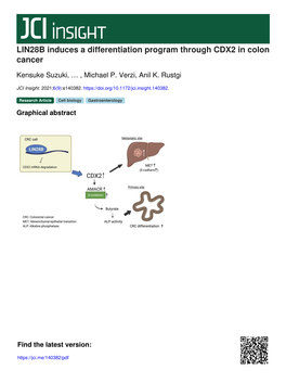 LIN28B Induces a Differentiation Program Through CDX2 in Colon Cancer