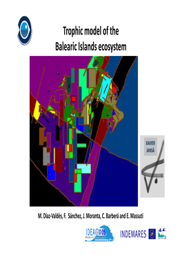 Trophic Model of the Balearic Islands Ecosystem