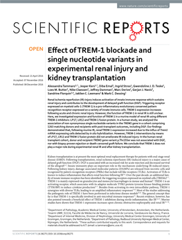 Effect of TREM-1 Blockade and Single Nucleotide Variants in Experimental
