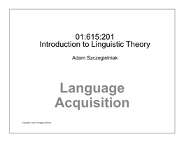 Language Acquisition