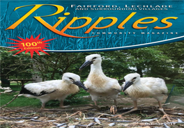 Ripples OCT 2019 L&F.Qxp 1 LINK Ñ May 07