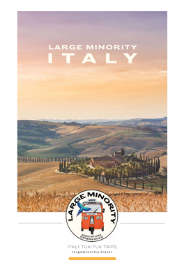 Large Minority Italy